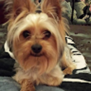 Meet your Posher, Terry